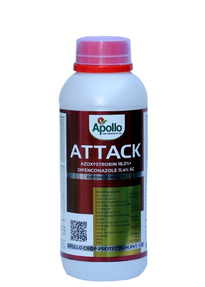 Attack