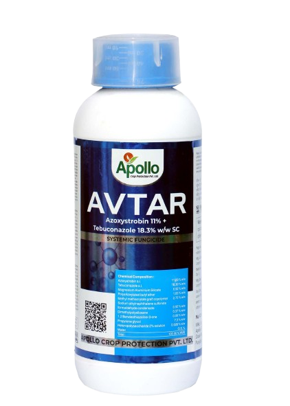 Avtar
