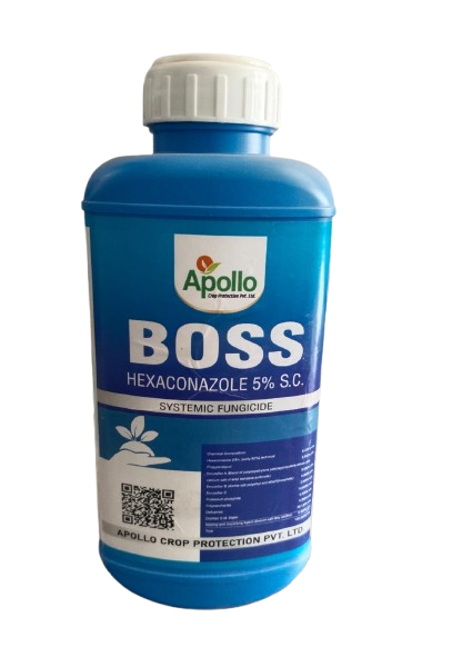 Boss