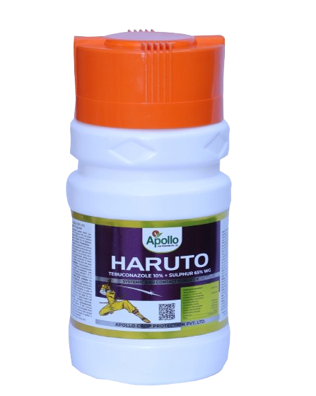 Haruto