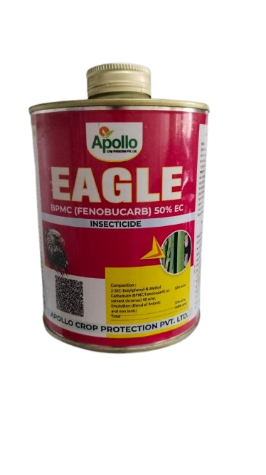 Eagle