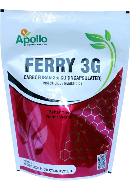 Ferry 3G
