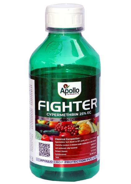Fighter