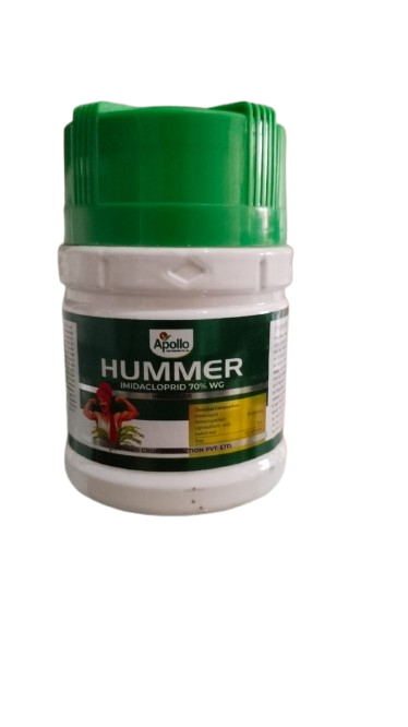 Hummer