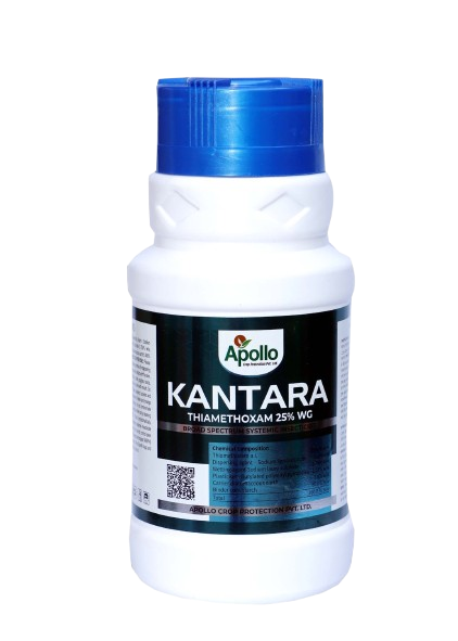Kantara