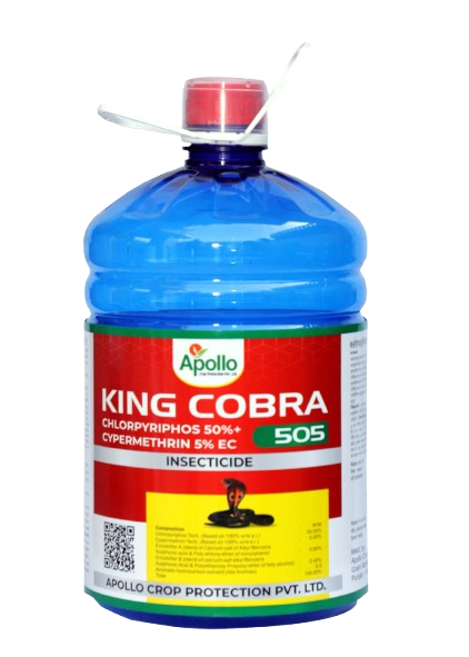 King Cobra