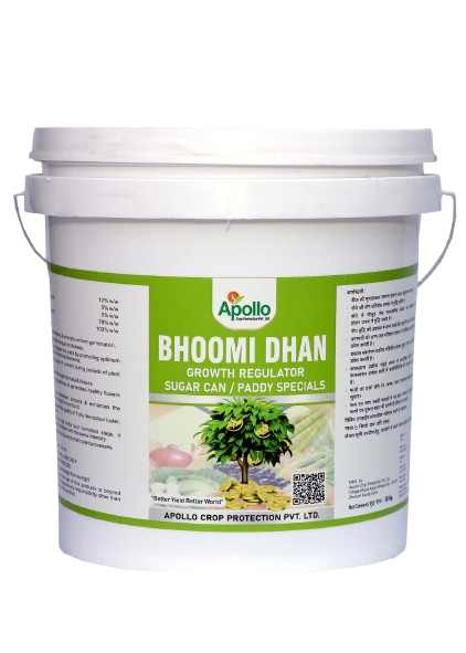 Bhoomi Dhan