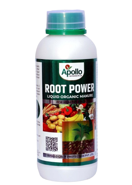 Root Power