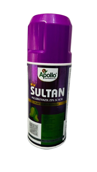 Sultan