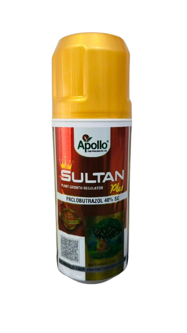 Sultan Plus