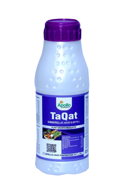 Taqat